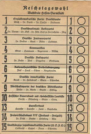 enlarge picture  - election voting form