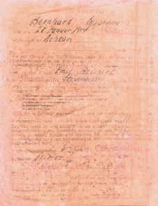 enlarge picture  - driving licence cap