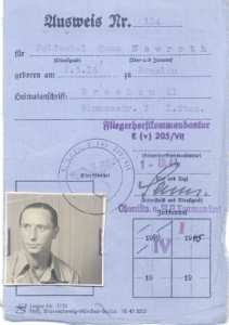 enlarge picture  - pilot airport licence
