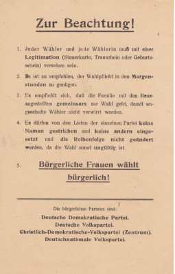 enlarge picture  - election pamphlet 1919 DV
