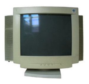enlarge picture  - computer monitor Lion  98