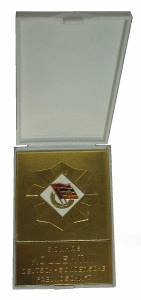 greres Bild - Medaille Deutsch Sowjet.F