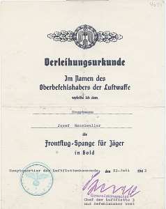 greres Bild - Urkunde Luftwaffe Orden
